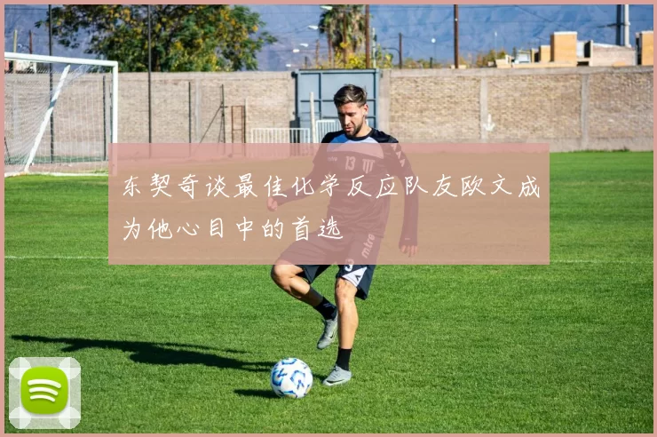 东契奇谈最佳化学反应队友欧文成为他心目中的首选